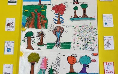 Sixth Class – ‘Average Ordinary Everyday Superhero’