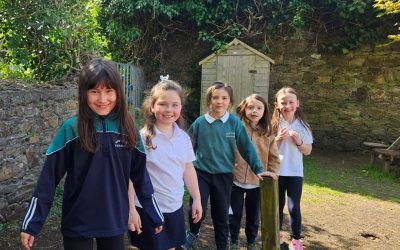 1st & 2nd Fun in the Sun