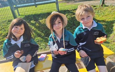 Spring Activities in the Infant Classroom