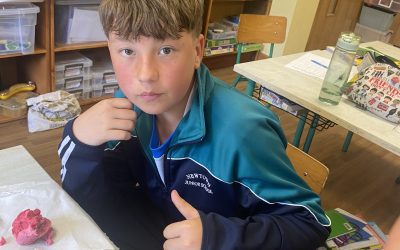 Exploring 3D Shapes in Sixth Class