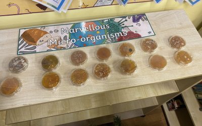 Invisible Invaders: Exploring Microorganisms in Sixth Class